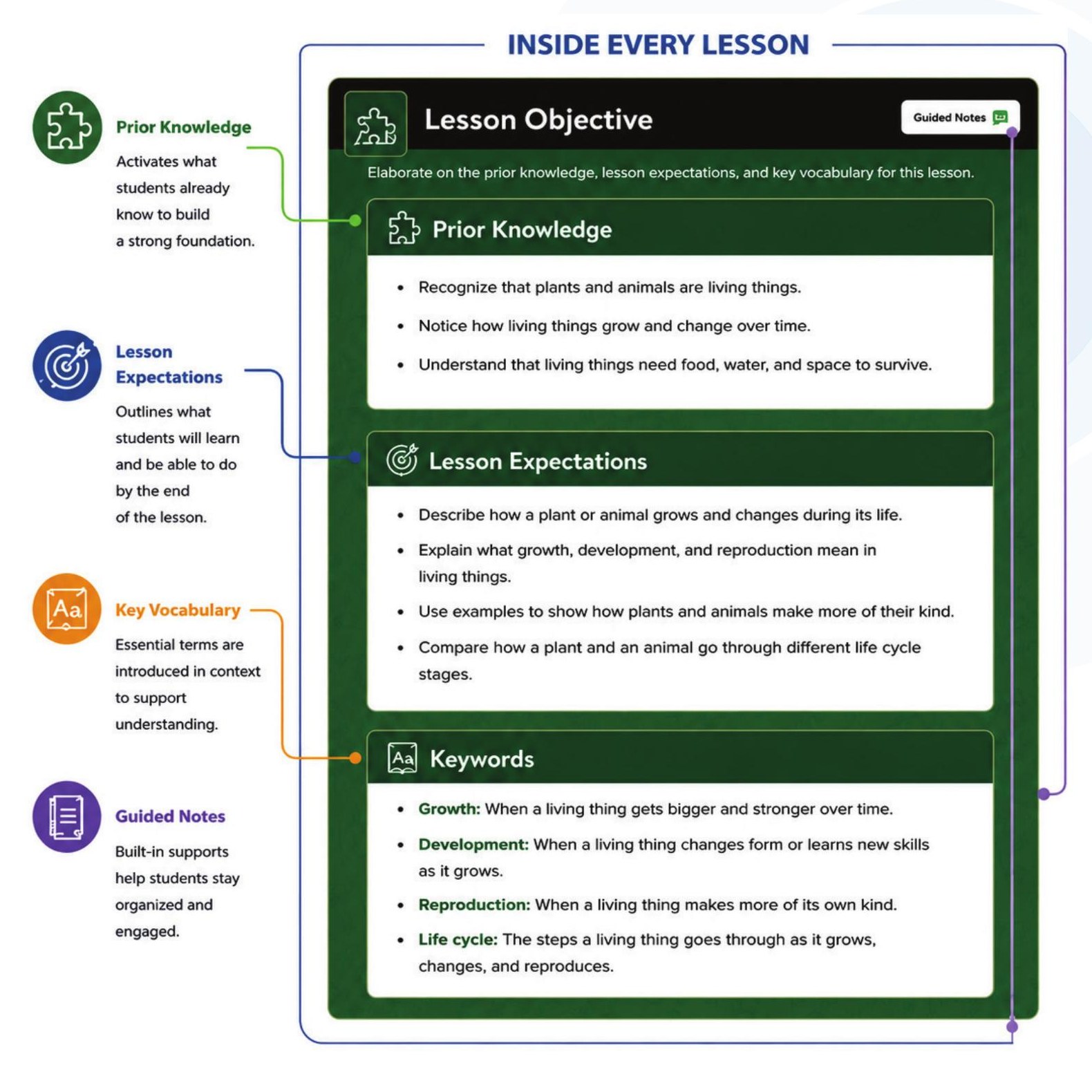 A consistent learning experience: Prior Knowledge, Lesson Expectations, Key Vocabulary, and Guided Notes inside every lesson